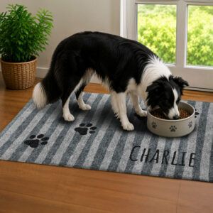 Hundematten_Pfotenspur_Streifen_Charlie_Variante-Silbergrau_Beispielbild